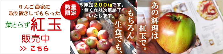 紅玉りんご販売