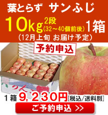 【予約】【品種】葉とらずサンふじ１０Kg