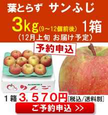 【予約】【品種】葉とらずサンふじ ３Kg