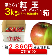 【販売】青森りんご(紅玉)小玉３Kg