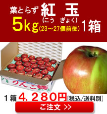 【販売】青森りんご(紅玉)小玉５Kg